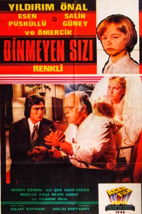 Dinmeyen Sızı kapak görseli