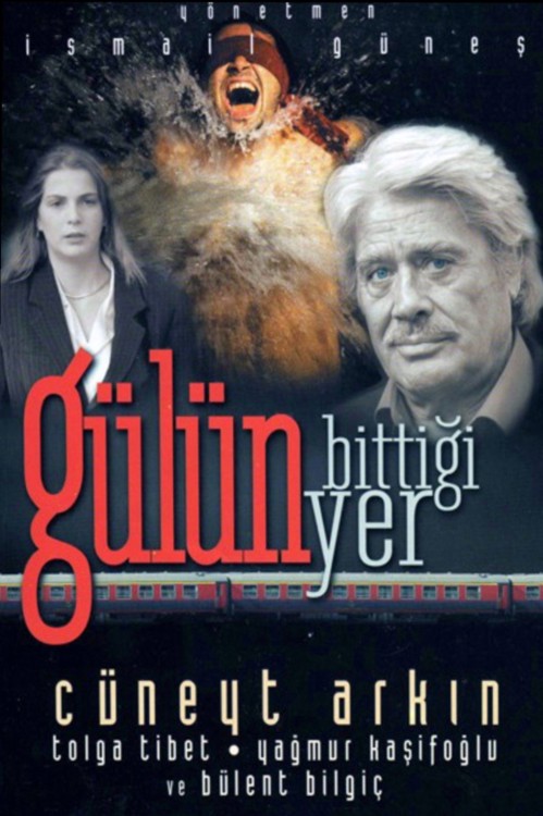 Gülün Bittiği Yer kapak görseli