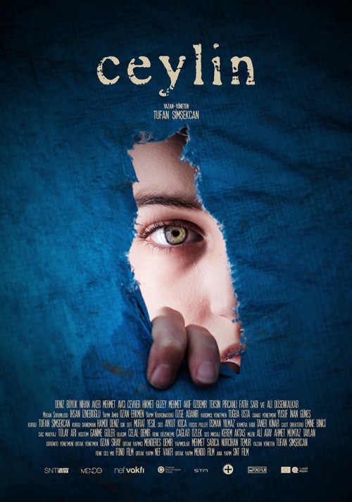 Ceylin kapak görseli