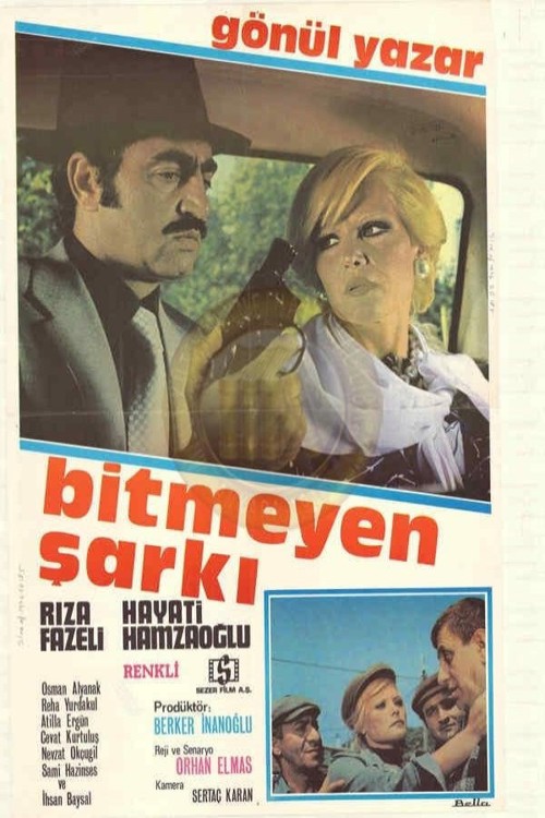 Bitmeyen Şarkı kapak görseli