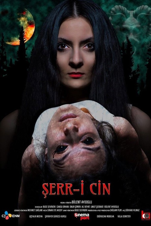 Şerr-i Cin kapak görseli