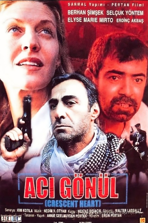 Acı Gönül kapak görseli