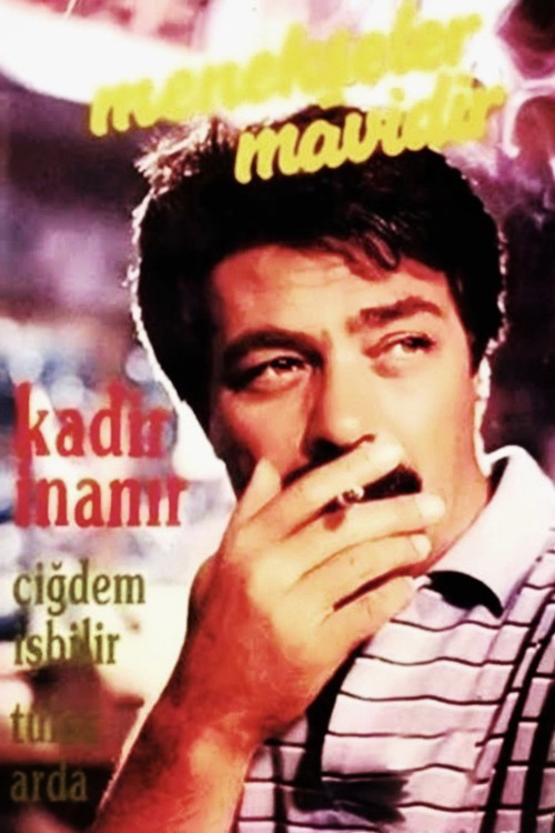 Menekşeler Mavidir kapak görseli