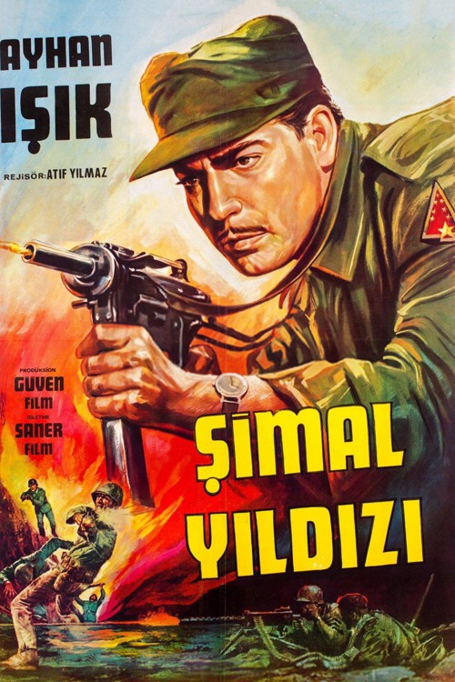 Şimal Yıldızı kapak görseli