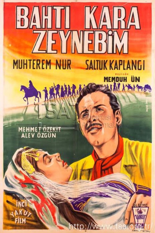 Zeynebin Aşkı kapak görseli