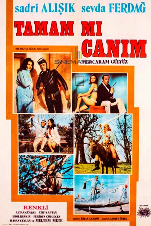 Tamam mı Canım kapak görseli