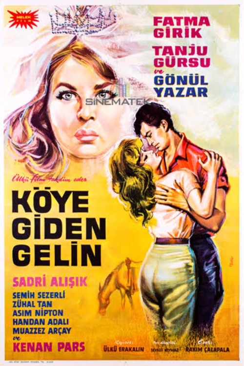 Köye Giden Gelin kapak görseli