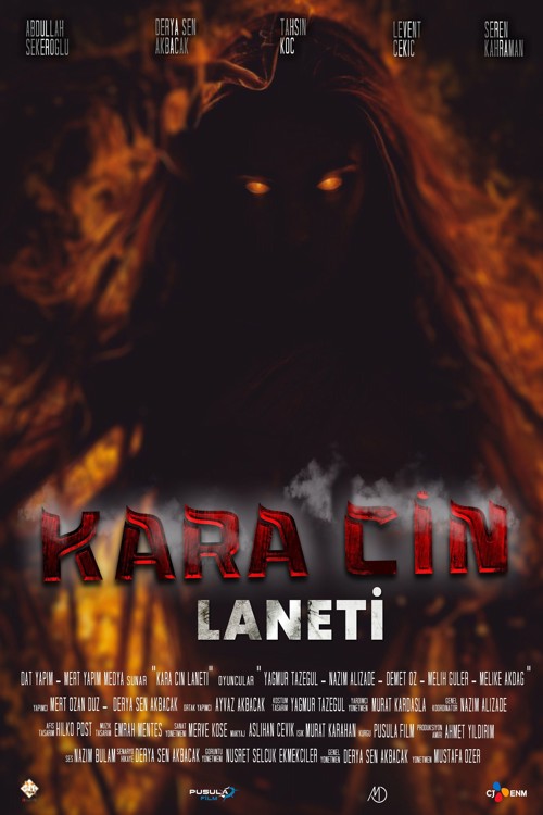 Kara Cin Laneti kapak görseli