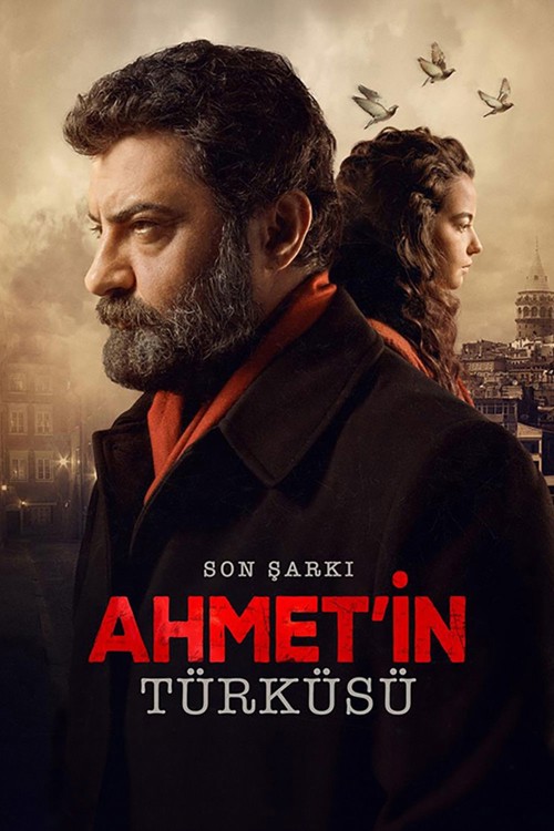Son Şarkı: Ahmet'in Türküsü kapak görseli