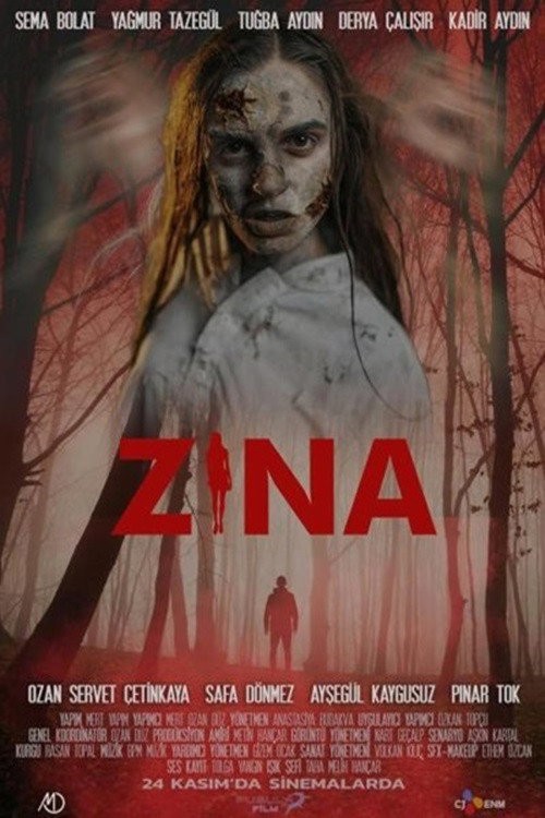 Zina kapak görseli