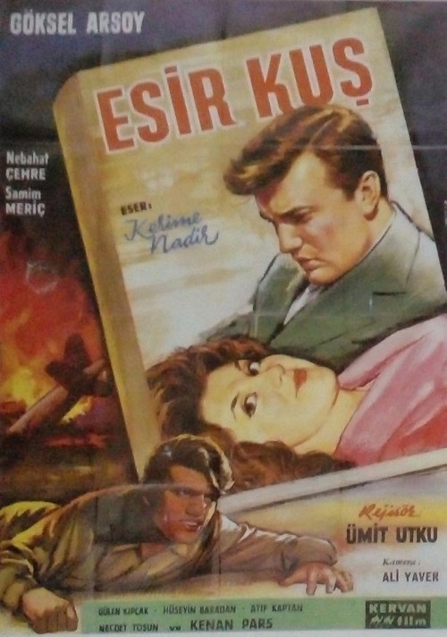 Esir Kuş kapak görseli