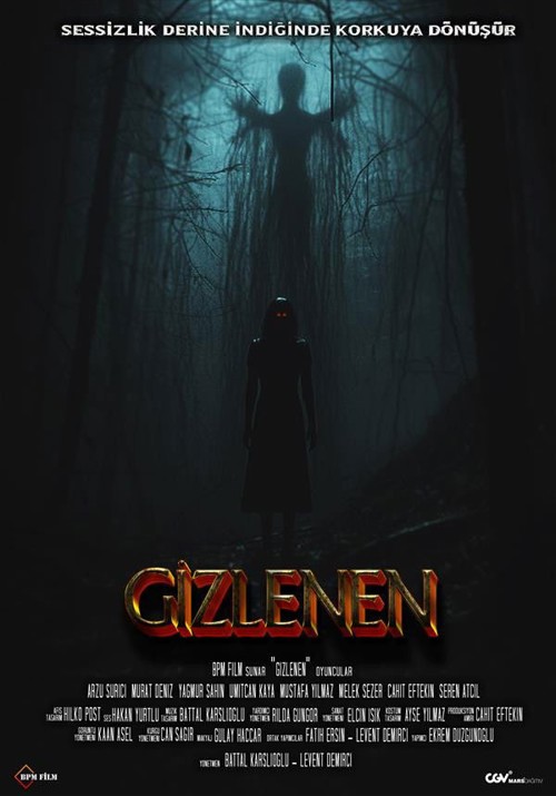 Gizlenen kapak görseli