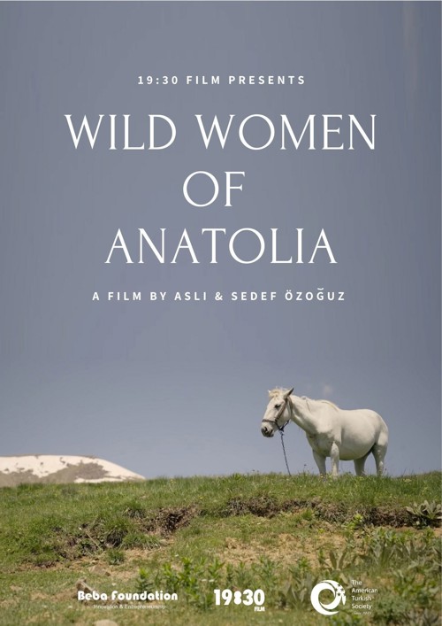 Wild Women of Anatolia kapak görseli