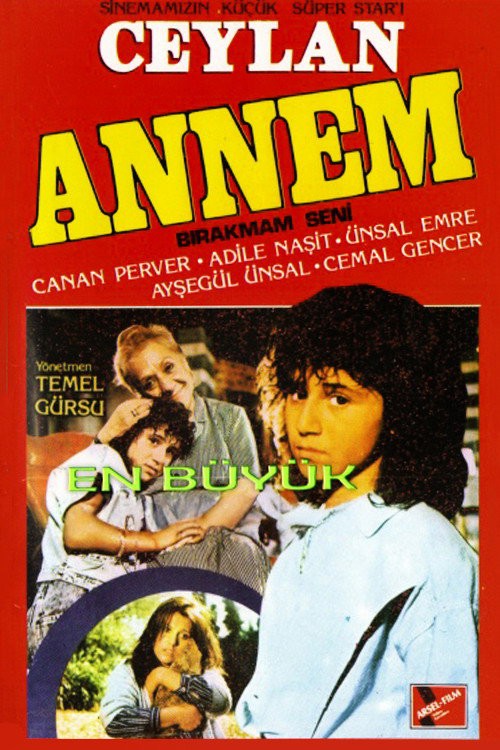 Annem kapak görseli