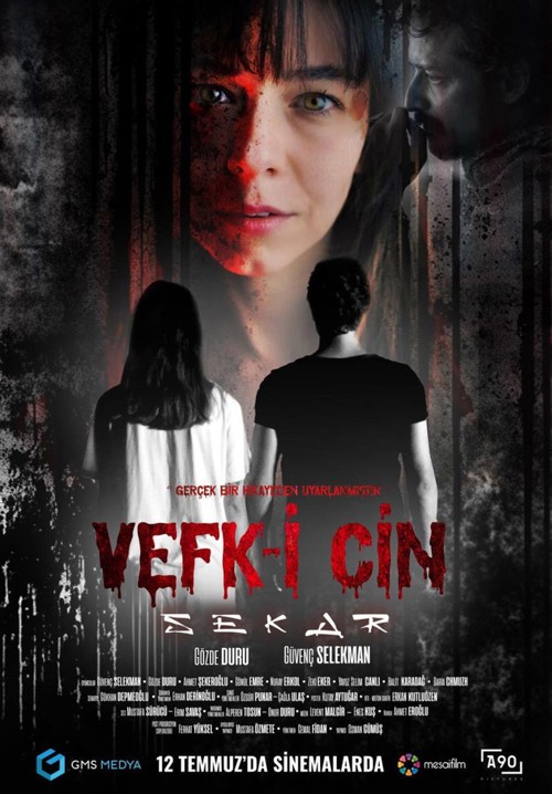 Vefk-i Cin Sekar kapak görseli