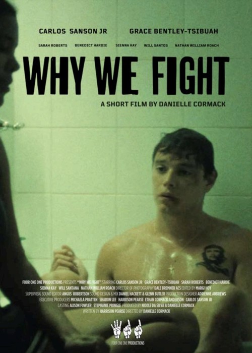 Why We Fight kapak görseli