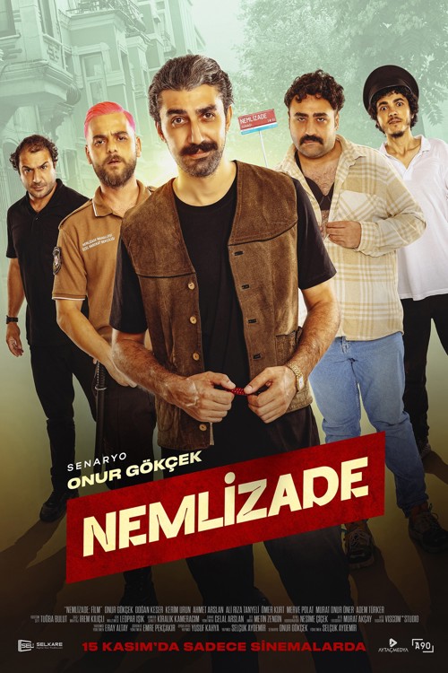 Nemlizade kapak görseli
