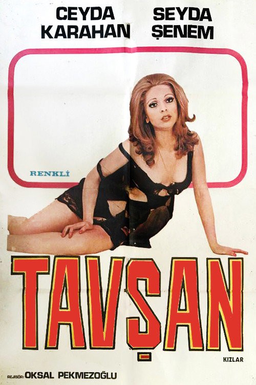 Tavşan Kızlar kapak görseli