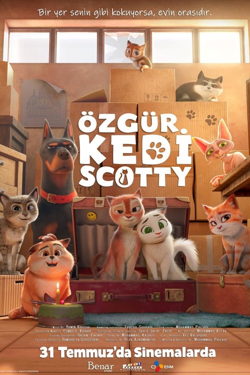 Özgür Kedi Scotty kapak görseli