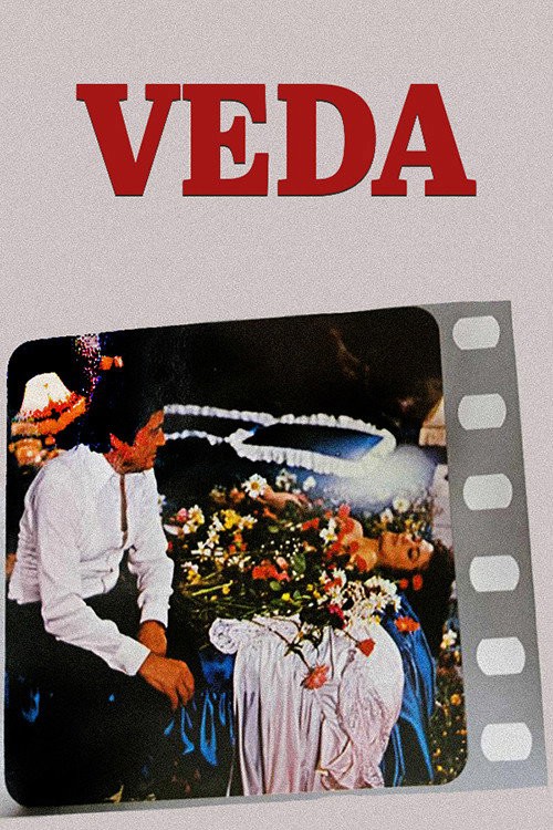 Veda kapak görseli