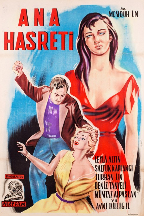 Ana Hasreti kapak görseli