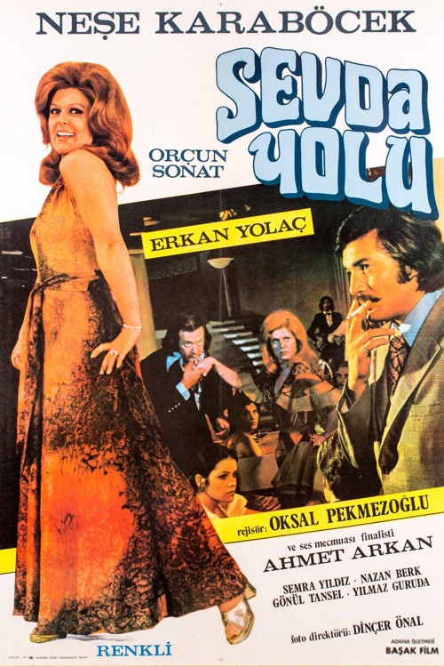 Sevda Yolu kapak görseli