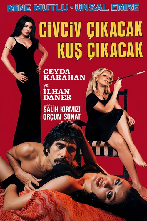 Civciv Çıkacak Kuş Çıkacak kapak görseli