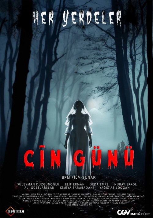 Cin Günü kapak görseli