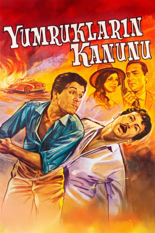 Yumrukların Kanunu kapak görseli