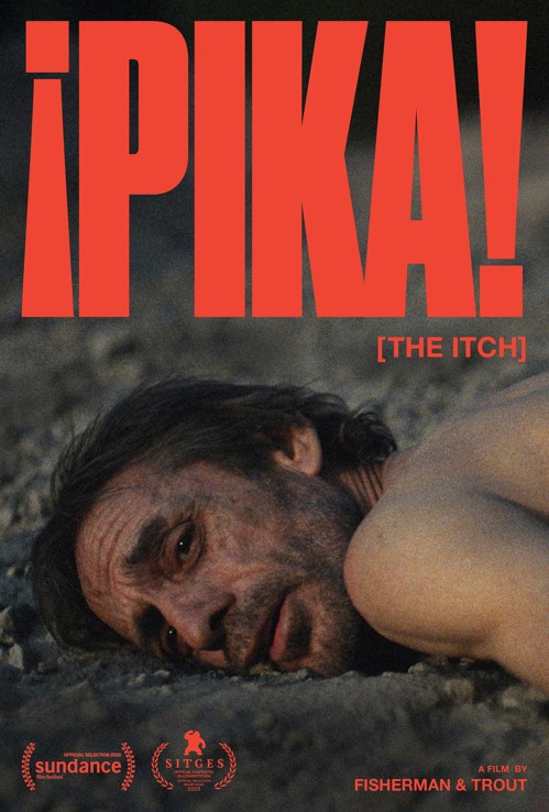 ¡PIKA! kapak görseli