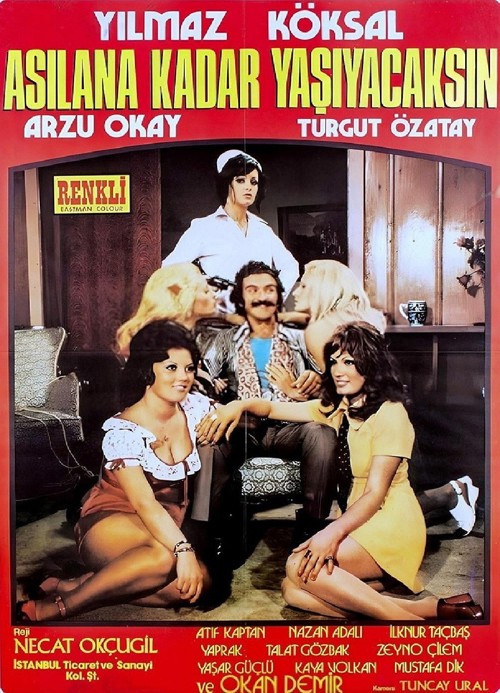 Asılana Kadar Yaşayacaksın kapak görseli