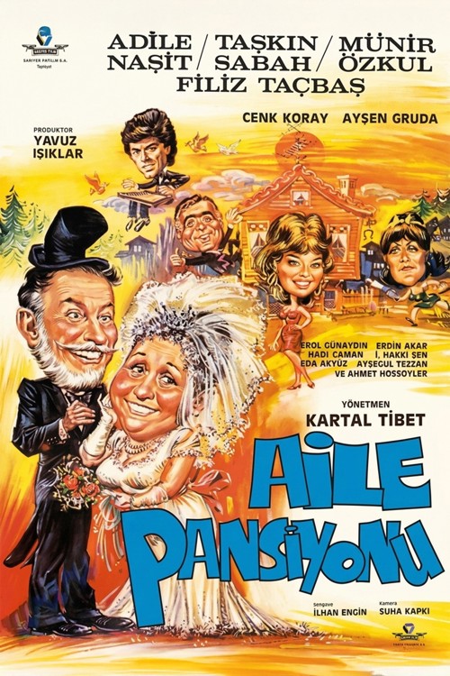 Aile Pansiyonu kapak görseli