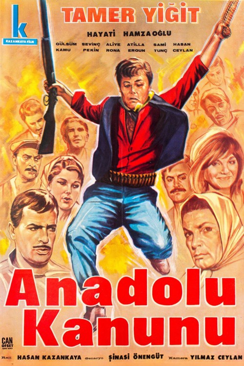 Anadolu Kanunu kapak görseli