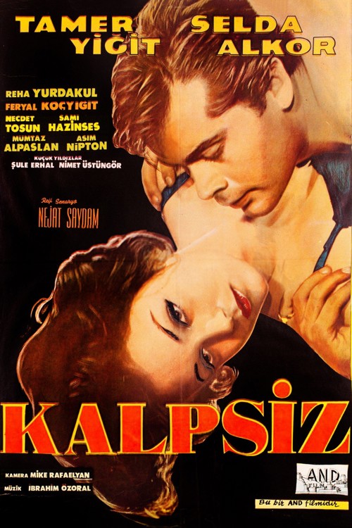 Kalpsiz kapak görseli