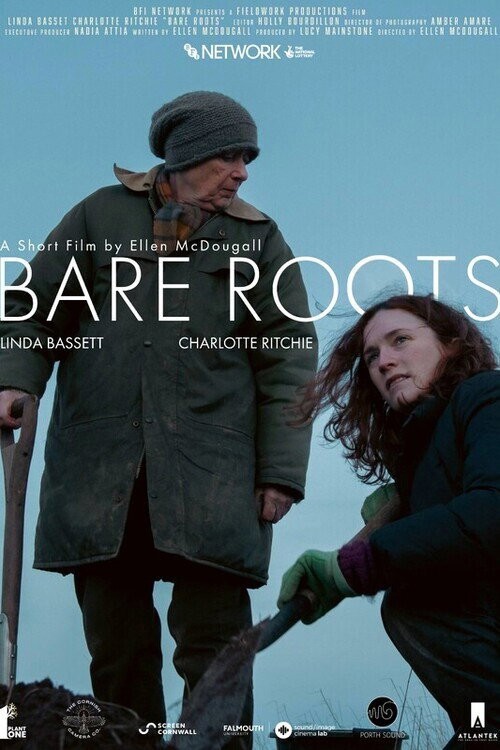 Bare Roots kapak görseli