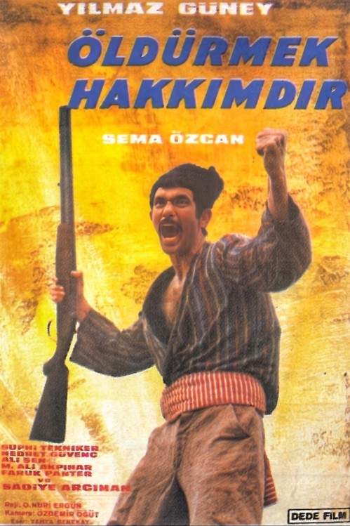 Öldürmek Hakkımdır kapak görseli