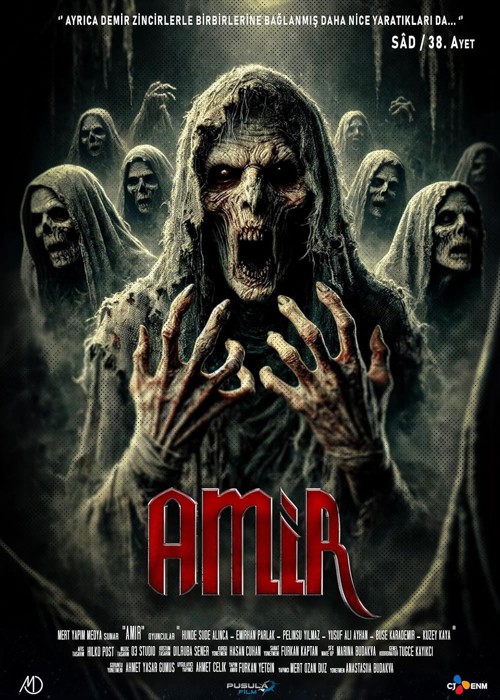 Amir kapak görseli