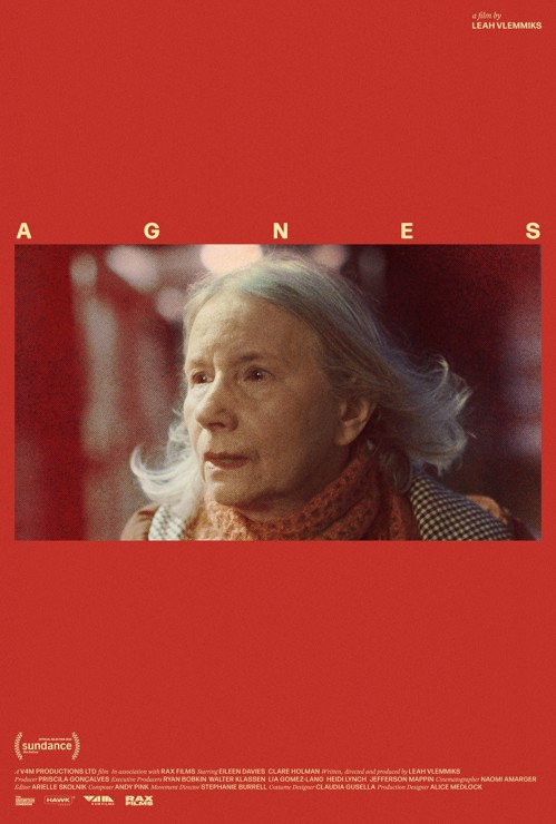 Agnes kapak görseli
