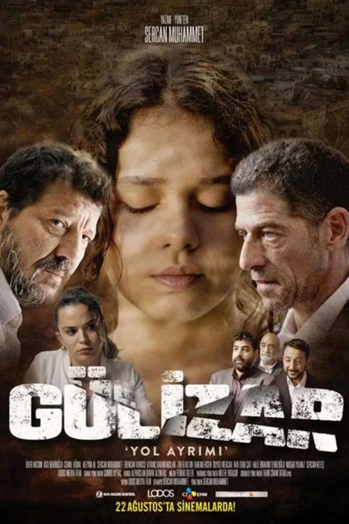 Gülizar Yol Ayrımı kapak görseli