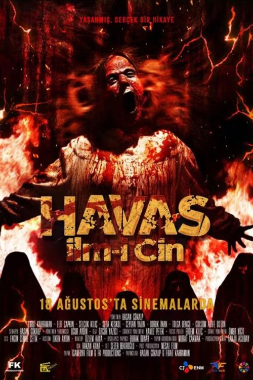Havas İlm-i Cin kapak görseli