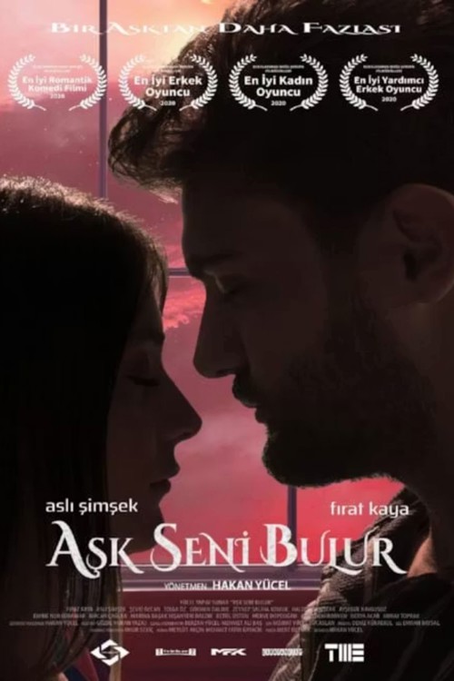 Aşk Seni Bulur kapak görseli