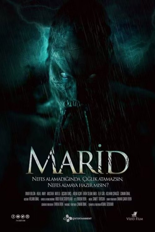 Marid kapak görseli