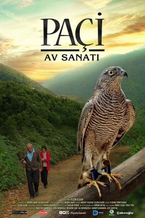 Paçi: Av Sanatı kapak görseli