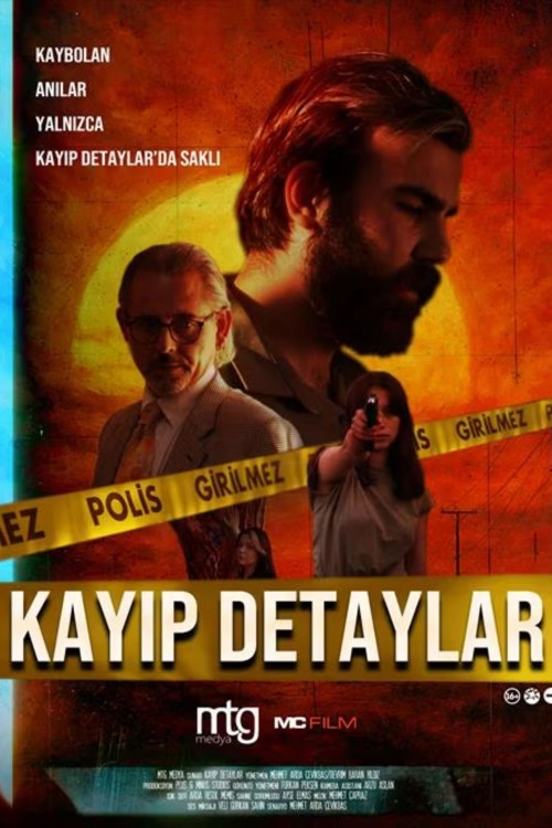 Kayıp Detaylar kapak görseli