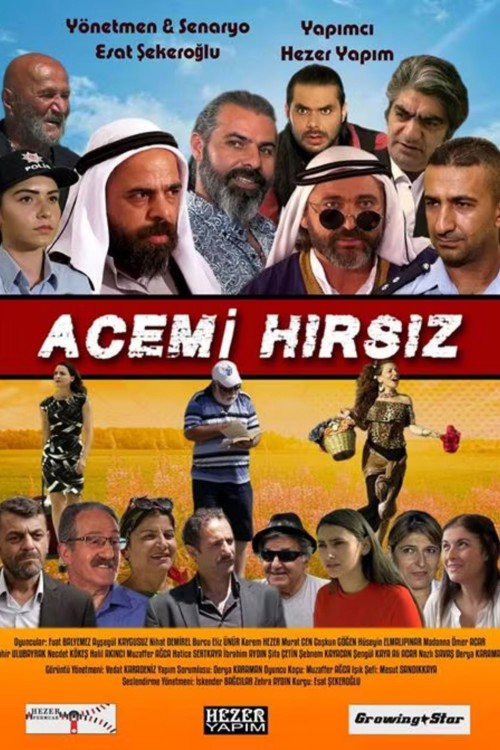 Acemi Hırsız kapak görseli