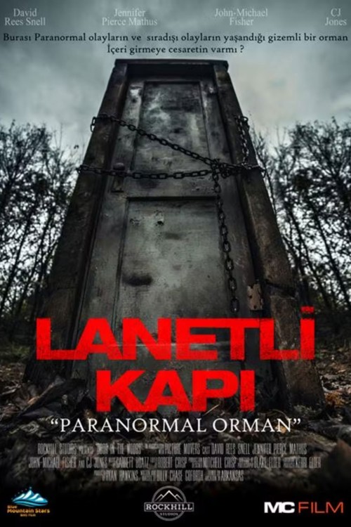 Lanetli Kapı "Paranormal Orman" kapak görseli