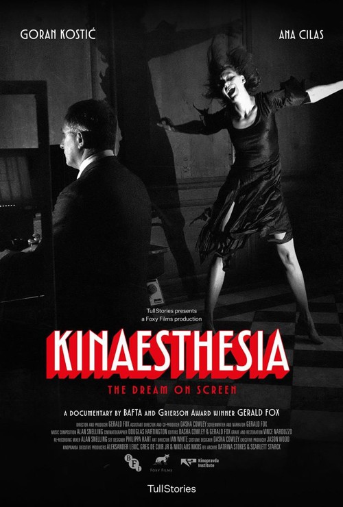 Kinaesthesia kapak görseli
