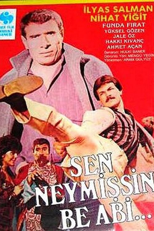 Sen Neymişsin Be Abi kapak görseli