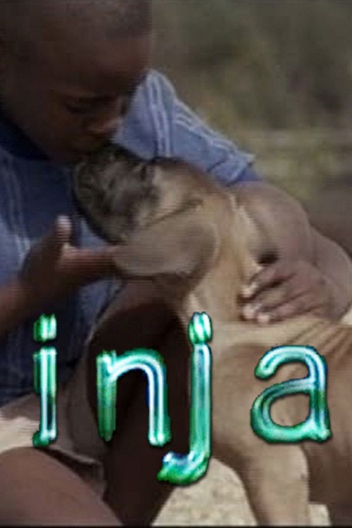 Inja kapak görseli