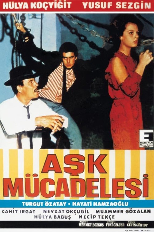 Aşk Mücadelesi kapak görseli